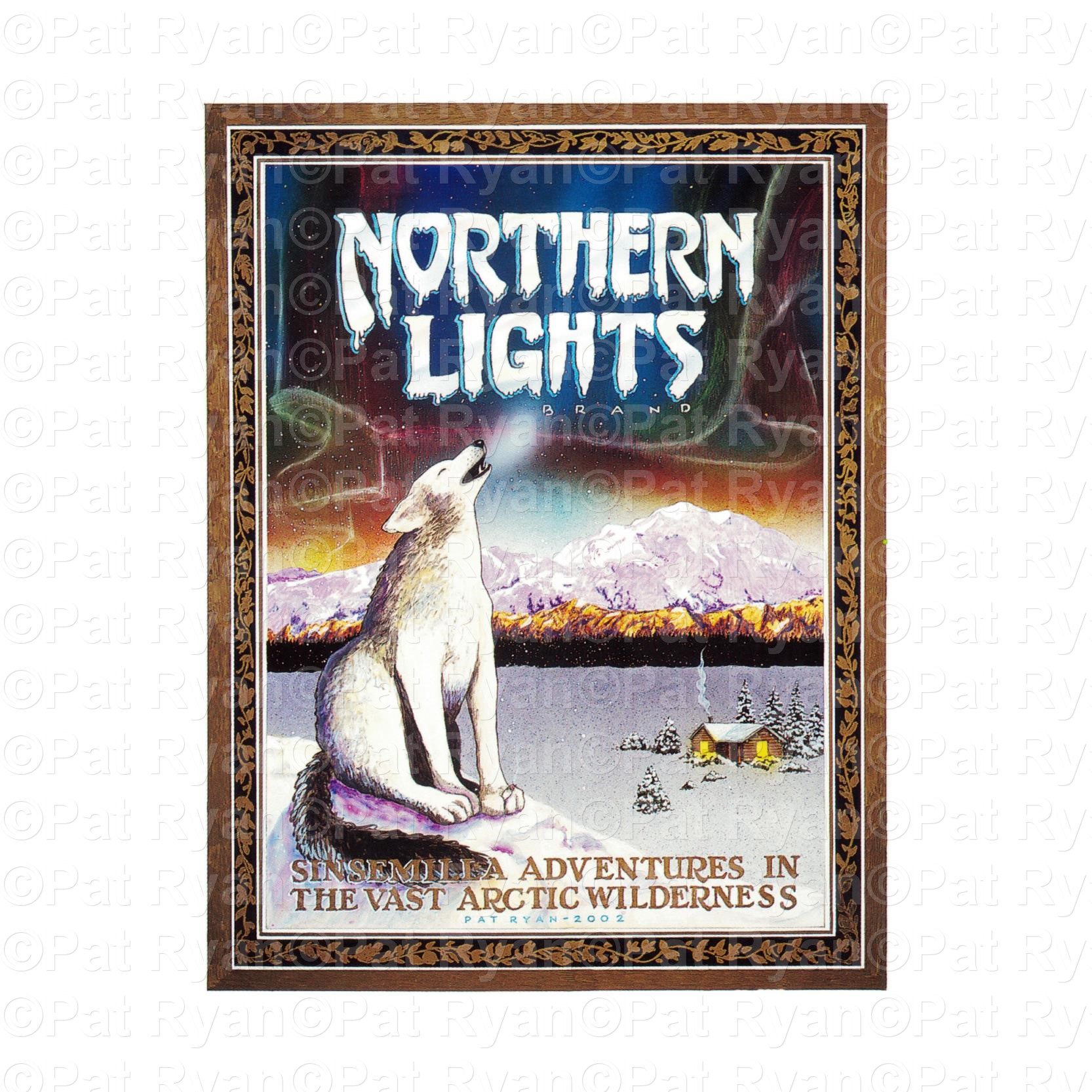 Pat Ryan Northern Lights